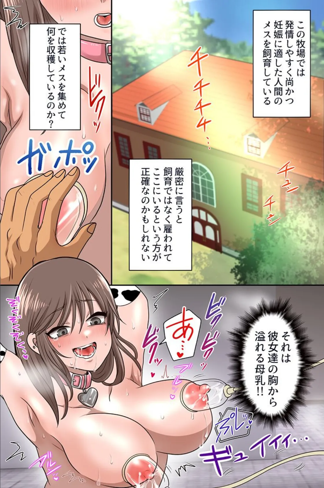 牧場種付け体験!マイクロビキニの爆乳美女たちにガンガン生出ししてイカせまくる!! 4ページ