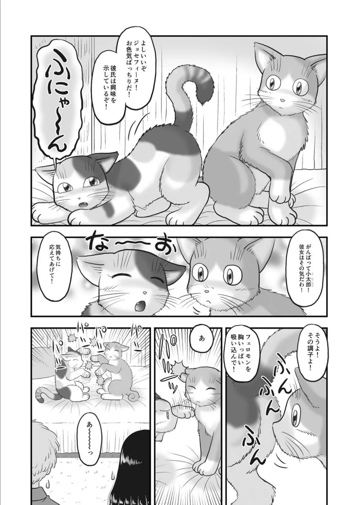 成人向けネコマンガ! 3ページ