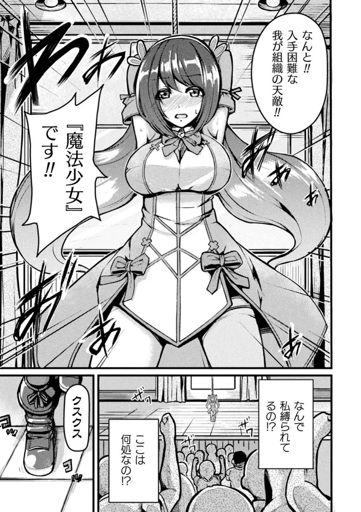 二次元コミックマガジン 魔法少女性奴●オークションへようこそ! Vol.1 29ページ