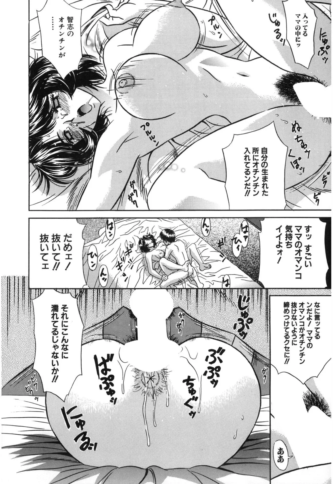 母子姦淫【新装版】 14ページ