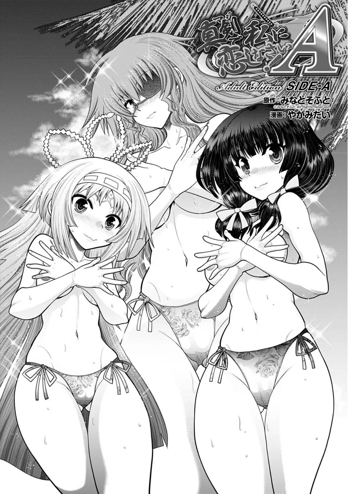 真剣で私に恋しなさい! A Adult Edition SIDE-A 3ページ